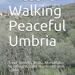 [FREE] EBOOK 📒 Picture Walking Peaceful Umbria: Trevi, Spoleto, Assisi, Montefalco t
