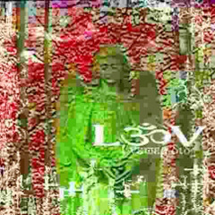 l3ov