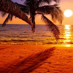 A Beautiful Summer's Sunset