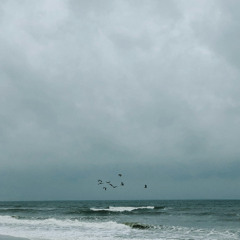 The Interior World Shared