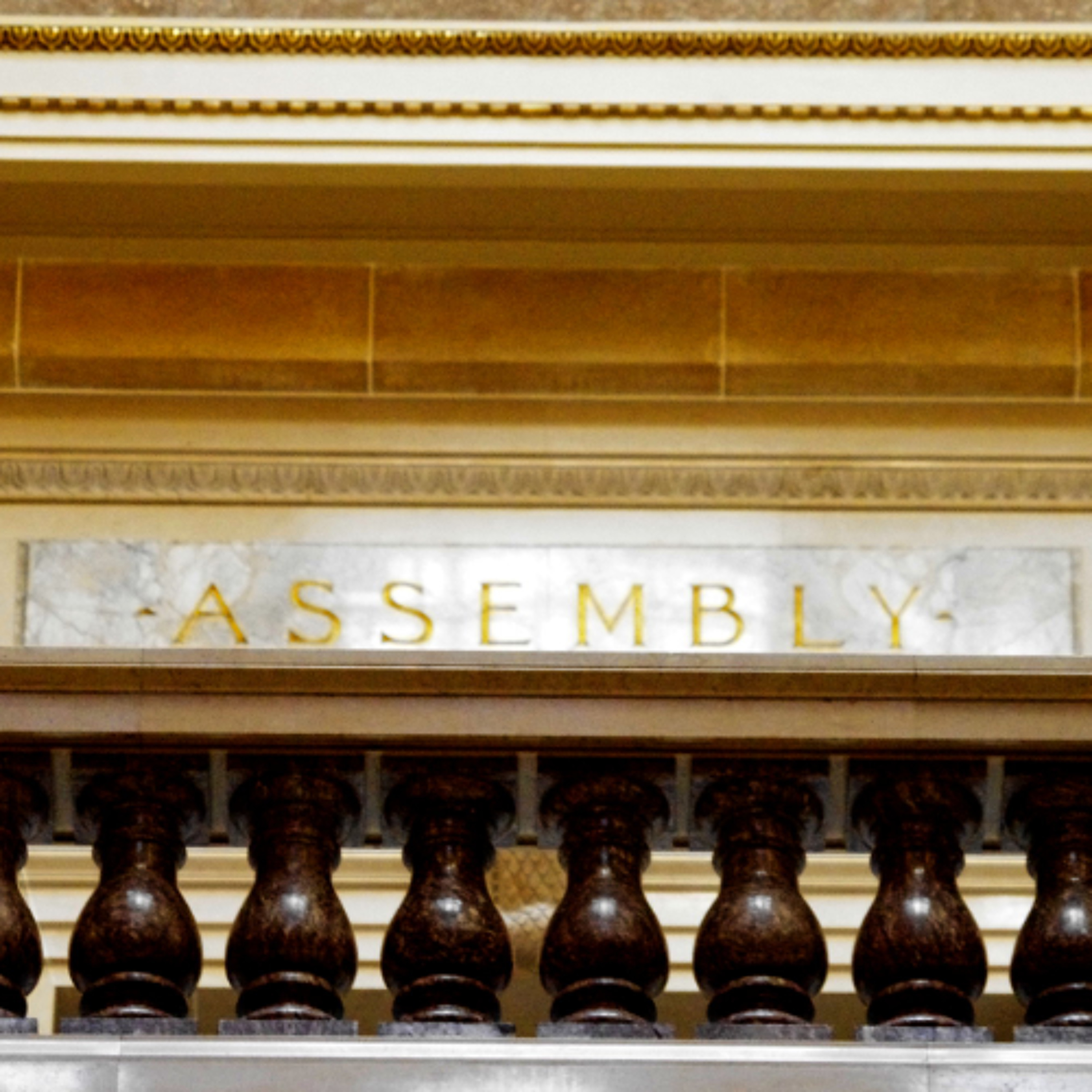 Ahead of the midterms, Assembly Republicans lean on bipartisan issues
