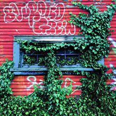 Saturated Greene mix 1