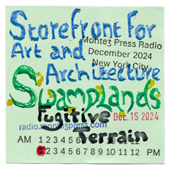 Swamplands: Broadcasts | Fugitive Terrain