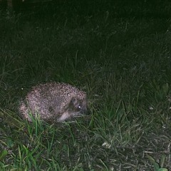 -3v3r1thyNg 1S 8u11Sh1t-