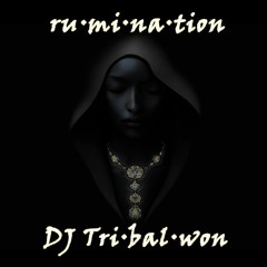 Rumination (Remixed)