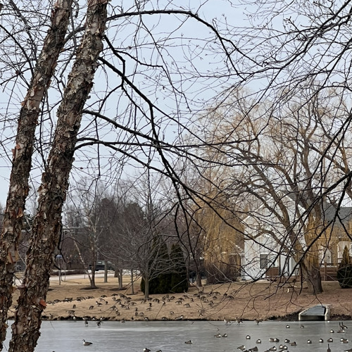 that one time u told me itd be making music