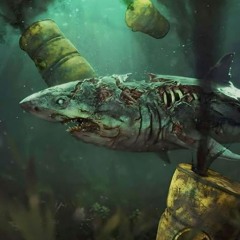 MELODIC OF SHARK 005
