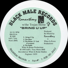 Steve Tee Bring U Up 1995