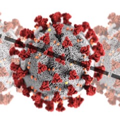 After the Quarantine, The Flood by Natasha Lennard