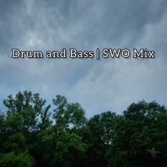 Drum and Bass | SWO Mix 03 07