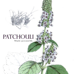 PATCHOULI - Wade JeremiAh Podcast