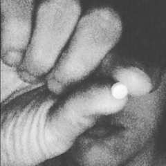clips - fltr + qhostii (p. paka)