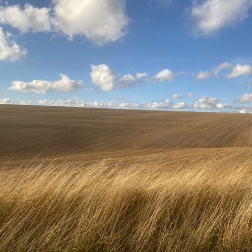 Dj flat cap speed garage mini mix