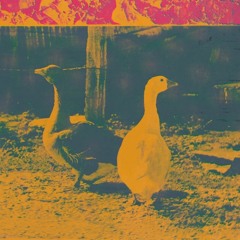 in the morning i’ll be with you (prod. lay)