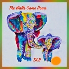 The Walls Came Down featuring June Music