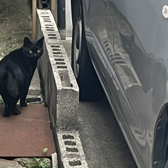 くもり(仮)