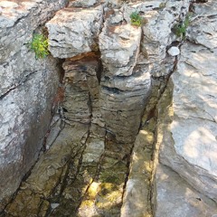 spring water