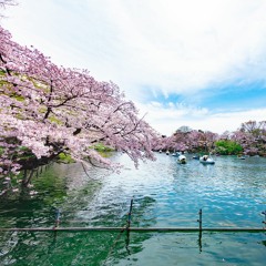 巡り合いは春の風