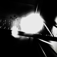 silent wings and ghost voices