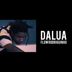 Flow Rodriguinho