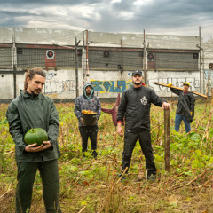Orgánico