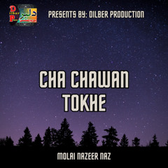 Cha Chawan Tokhe