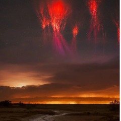 Biomechanical wasteland