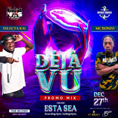 Just Vibess 2🔥🔥 (Deja Vu Promo Mix) Selectakai & Mc Bonzo