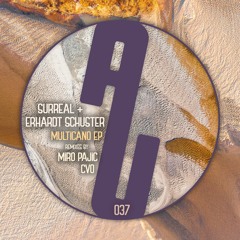 Surreal, Erhardt Schuster - Riptide (CVO Remix)