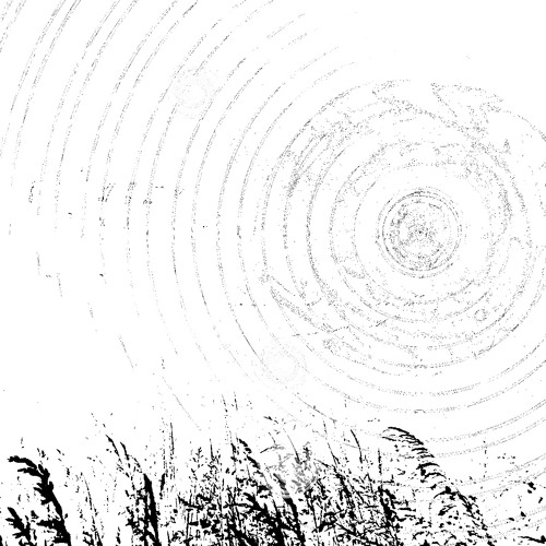 ripple