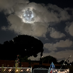 عليك بعد الله طموحي ورجَواي .