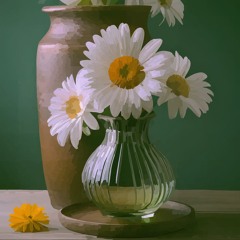 Leucanthemum