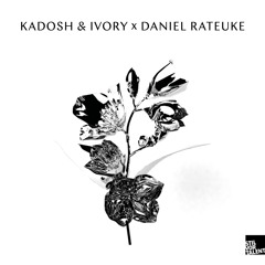 Kadosh, Ivory - Indian Summer