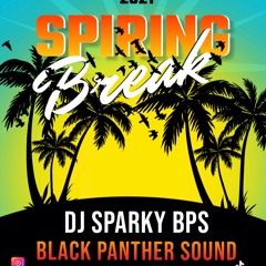 2021 Spring break MIX