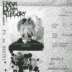 Descent Into Apathy (Godless Void cover)