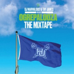 DJ Tay James "Orgepalooza" The Hampton Homecoming Mixtape 2024