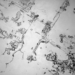 MICROCOSME