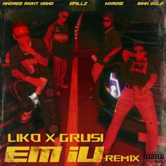 EM IUUU REMIX - LIKO X GRUSI