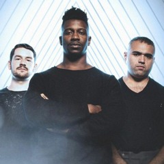 Animals As Leaders