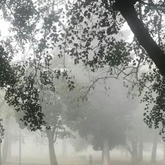 aún así aún más allá [wifi]