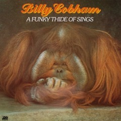 Randy Brecker: Billy Cobham – A Funky Thide Of Sings (1975)
