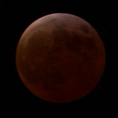 Mangata (Pardelluchs Bootleg)