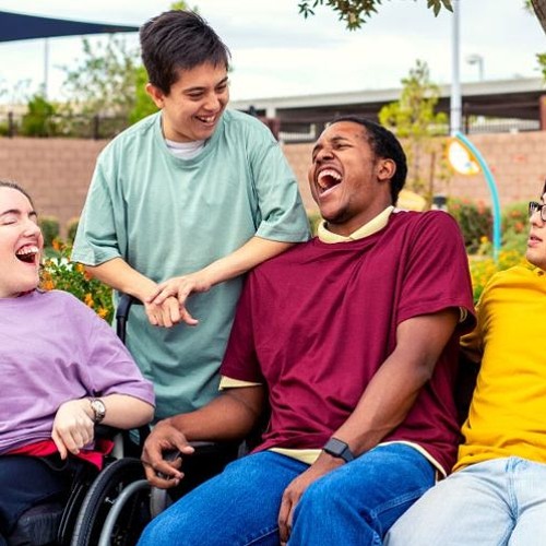 Stream episode Stream What Does Assistance With Social And Community Participation Mean? by National Disability Independent Support Services podcast | Listen online for free on SoundCloud