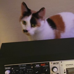 songs by lucy