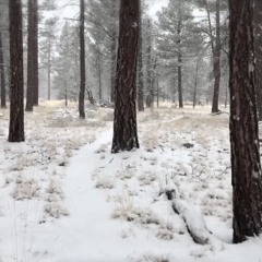 Come Thou Long Expected Jesus