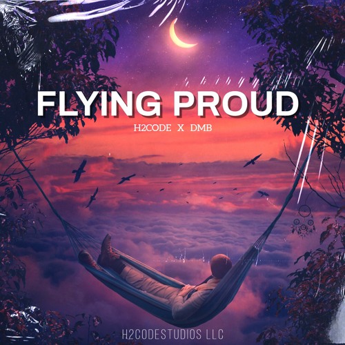 Flying Proud (Feat. DMB)