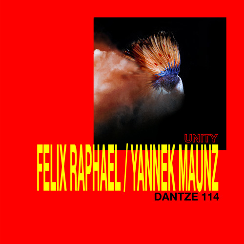 Yannek Maunz - Opacity - DTZ114