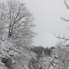 Winter Set live 3.4