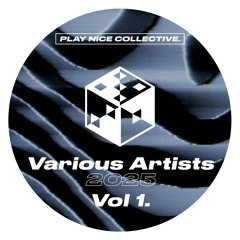 Play Nice Collective - Various Artists 2025 Vol.1