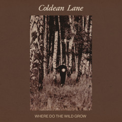 Where Do The Wild Grow